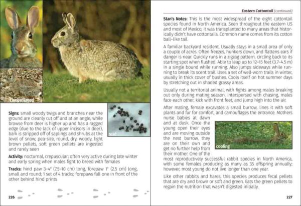 Mammals of the Midwest Field Guide - Image 5