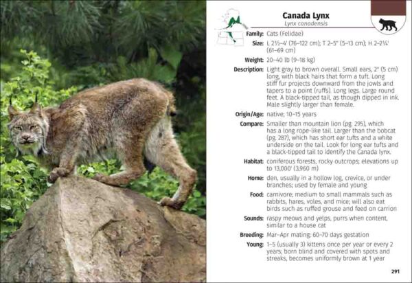 Mammals of the Northwest Field Guide - Image 2