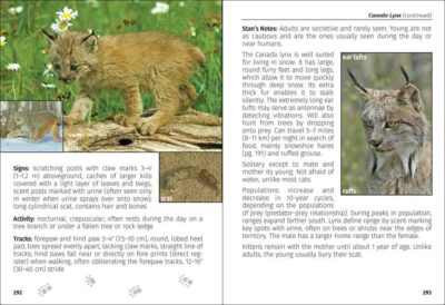 Mammals of the Northwest Field Guide - Image 3
