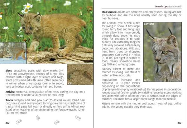 Mammals of the Northwest Field Guide - Image 3