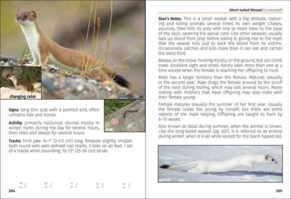 Mammals of the Northwest Field Guide - Image 5