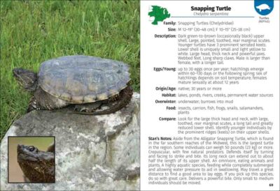 Reptiles & Amphibians of the Midwest Field Guide - Image 3