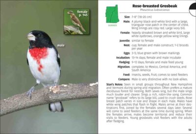 Birds of New Hampshire & Vermont Field Guide - Image 5