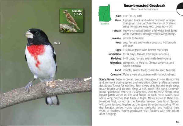 Birds of New Hampshire & Vermont Field Guide - Image 5