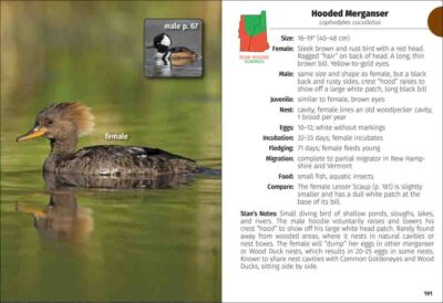 Birds of New Hampshire & Vermont Field Guide - Image 3