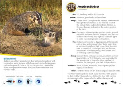 Critters of Oregon - Image 2