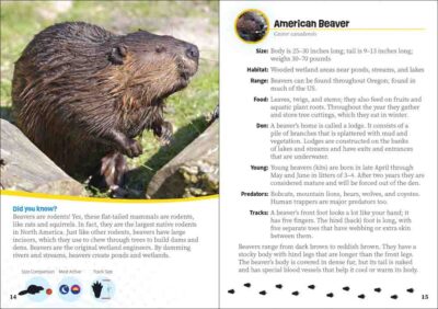 Critters of Oregon - Image 3