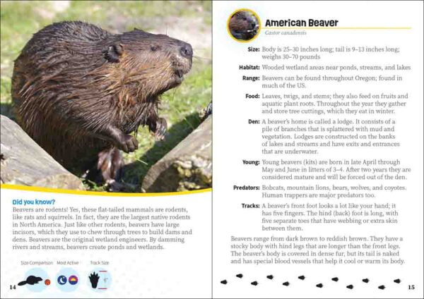 Critters of Oregon - Image 3