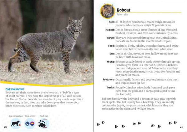 Critters of Oregon - Image 5