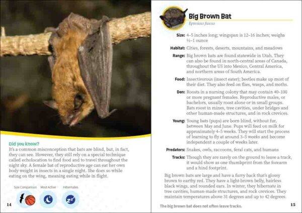 Critters of Utah - Image 2