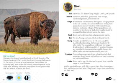 Critters of Utah - Image 3