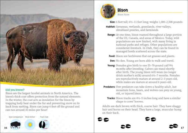 Critters of Utah - Image 3