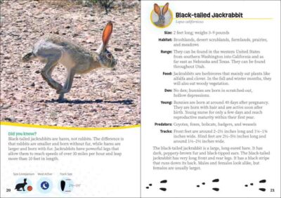 Critters of Utah - Image 4