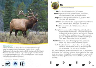 Critters of Utah - Image 5