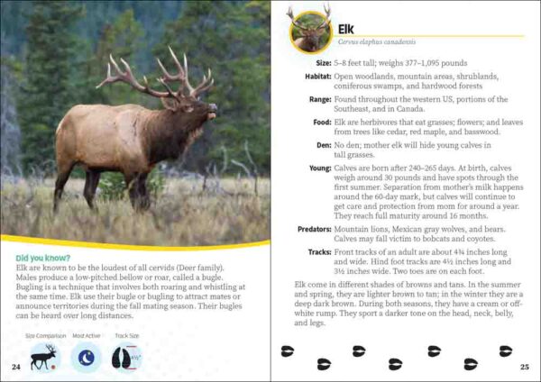 Critters of Utah - Image 5