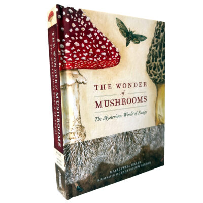 The Wonder of Mushrooms - Image 3