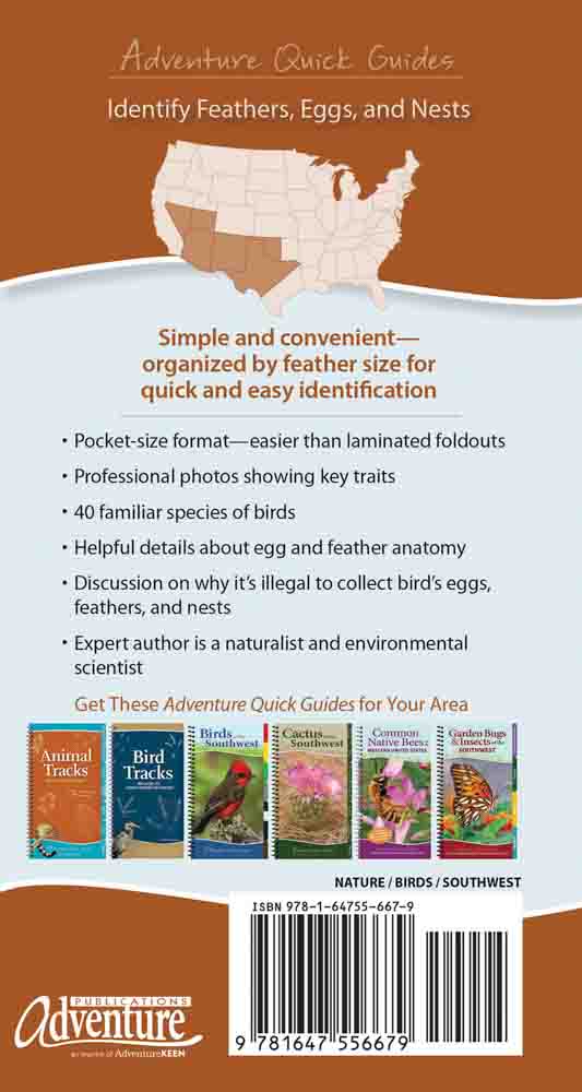 Bird Feathers & Eggs of the Southwest - Image 2