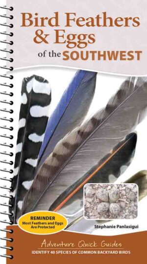 Bird Feathers & Eggs of the Southwest