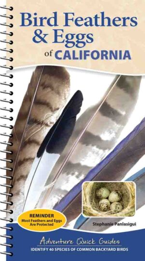 Bird Feathers & Eggs of California
