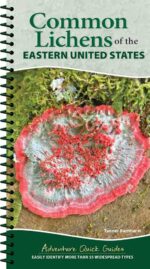 Common Lichens of the Eastern United States