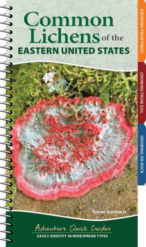 Common Lichens of the Eastern United States