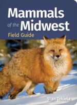 Mammals of the Midwest Field Guide