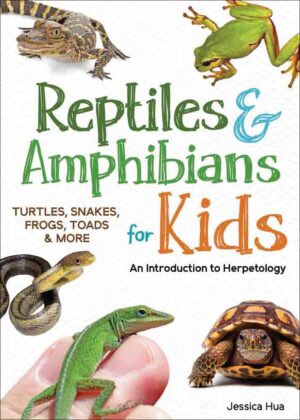 Reptiles & Amphibians for Kids