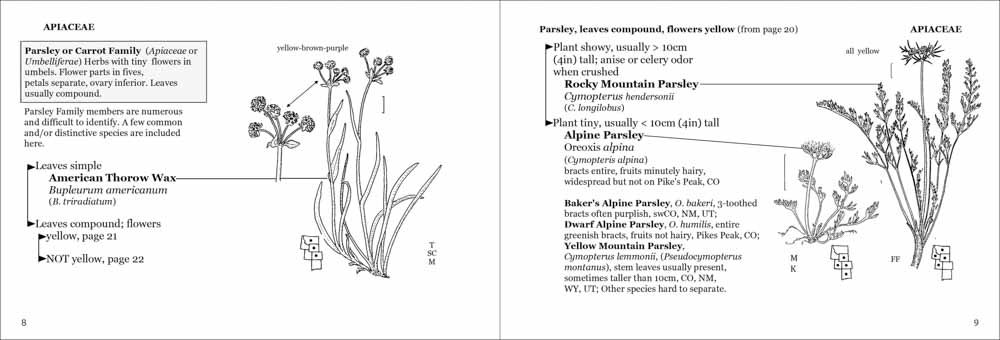 Alpine Flower Finder - Image 2
