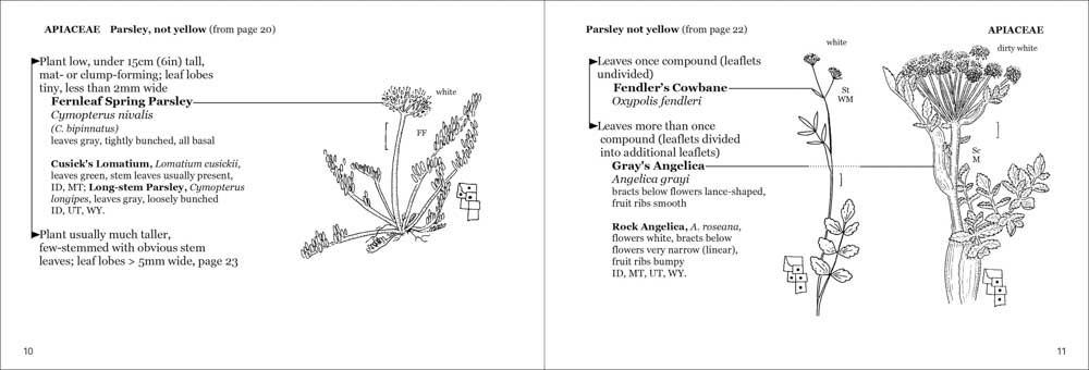 Alpine Flower Finder - Image 3