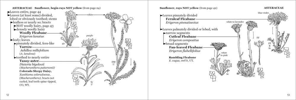 Alpine Flower Finder - Image 4