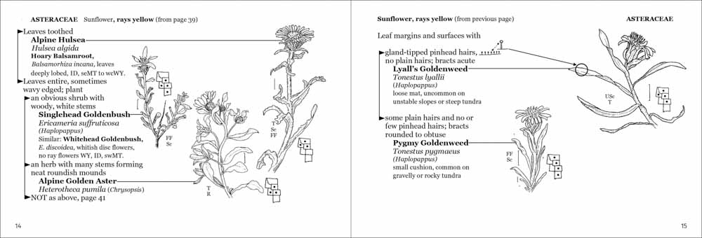 Alpine Flower Finder - Image 5