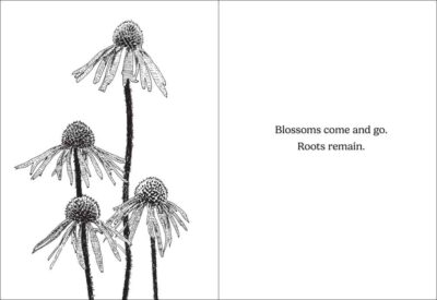 How Does Your Garden Grow? - Image 4