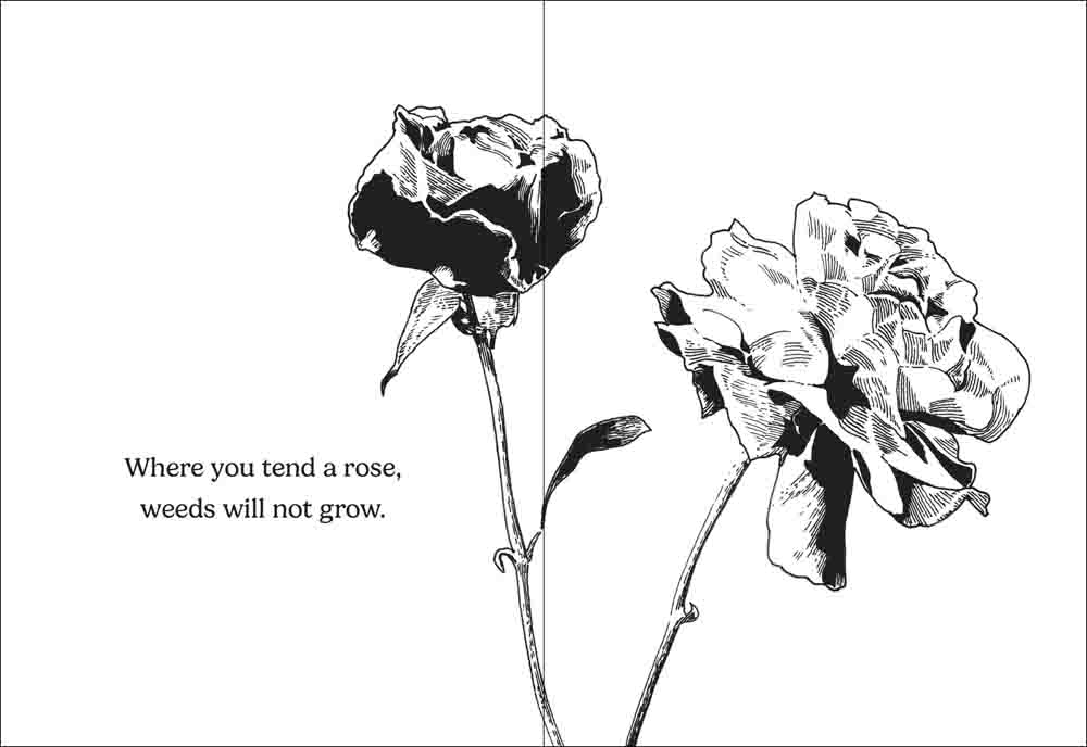 How Does Your Garden Grow? - Image 3