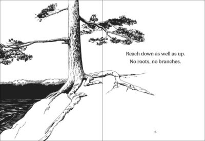 The Things Trees Know - Image 2