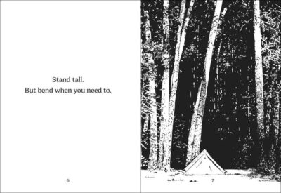 The Things Trees Know - Image 3