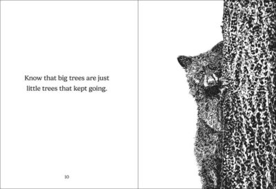 The Things Trees Know - Image 5