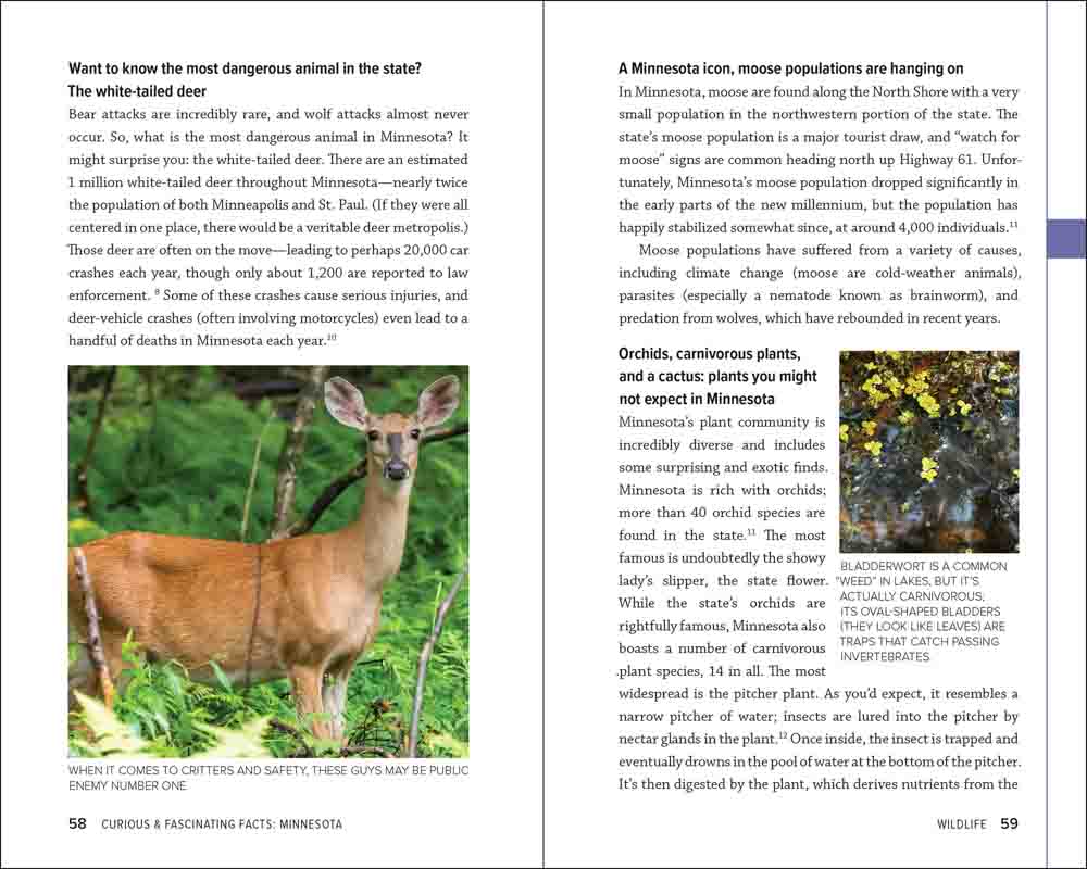 Curious & Fascinating Facts: Minnesota - Image 3