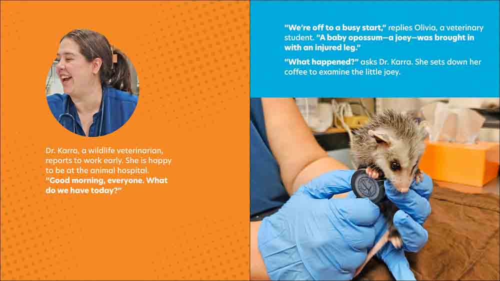 Dr. Karra to the Rescue - Image 2