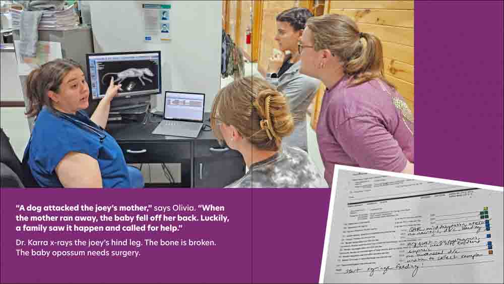 Dr. Karra to the Rescue - Image 3