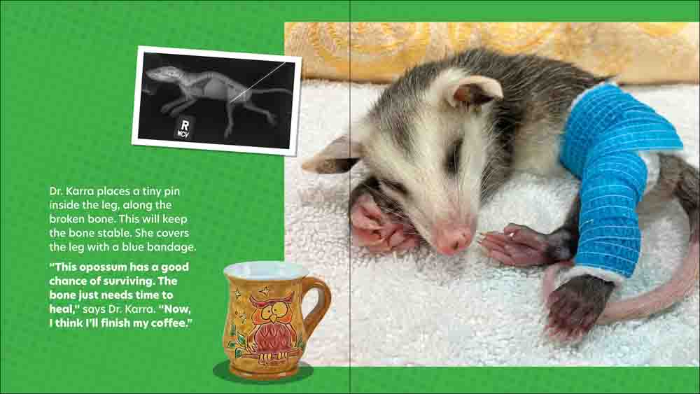 Dr. Karra to the Rescue - Image 4