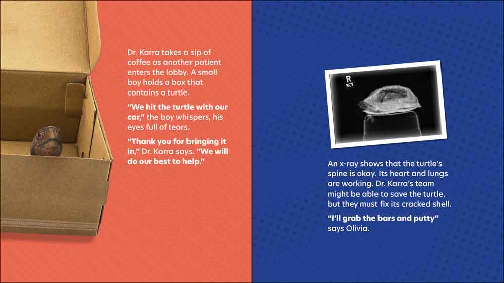 Dr. Karra to the Rescue - Image 5