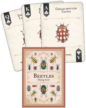 Beetles Playing Cards