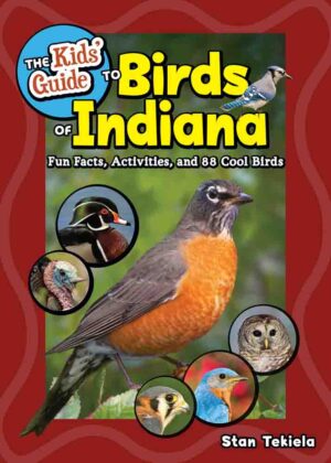 Kids' Guide to Birds of Indiana
