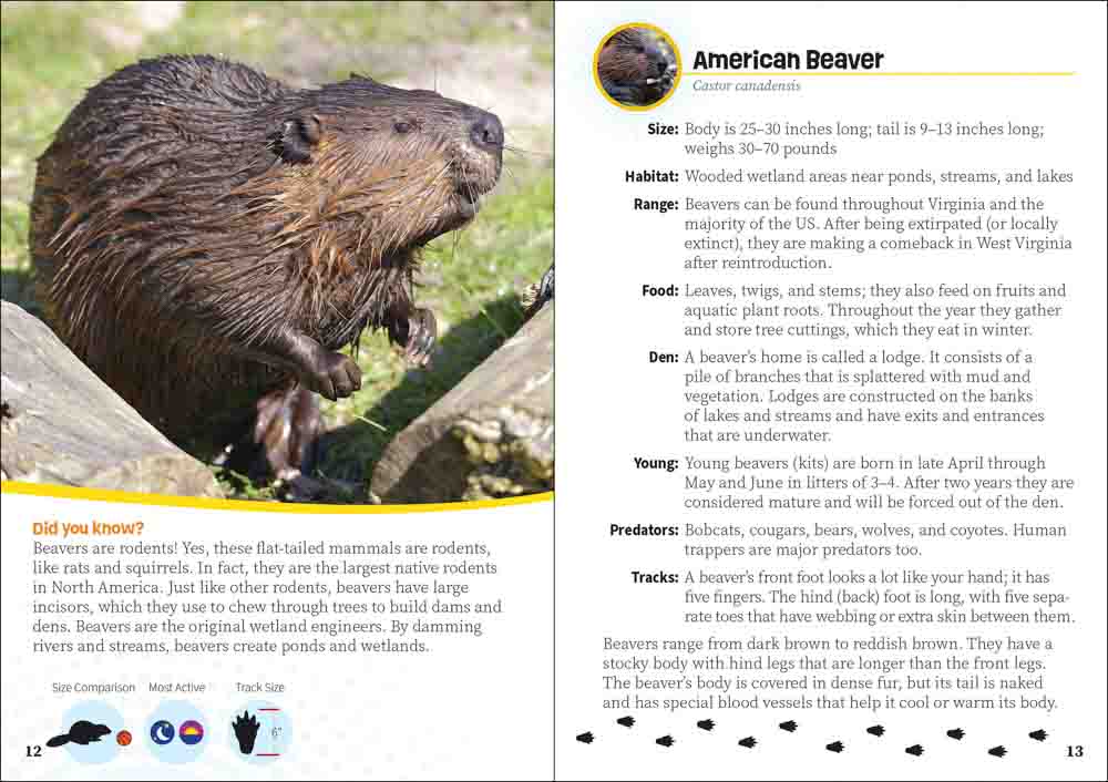 Critters of Virginia & West Virginia - Image 3