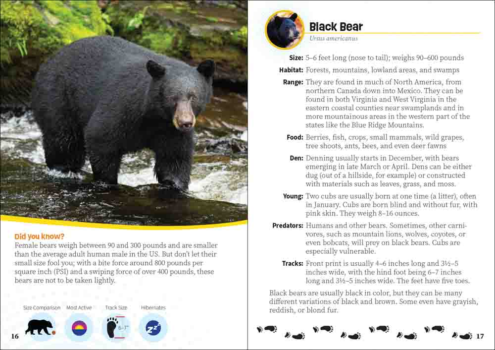 Critters of Virginia & West Virginia - Image 4