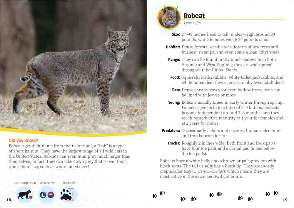 Critters of Virginia & West Virginia - Image 5