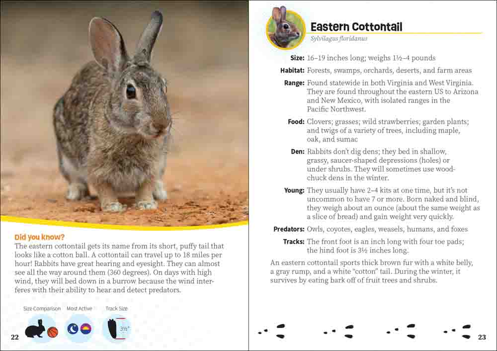 Critters of Virginia & West Virginia - Image 6