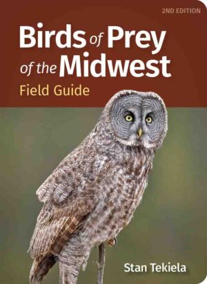 Birds of Prey of the Midwest Field Guide