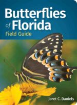 Butterflies of Florida Field Guide