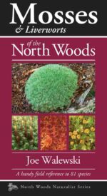 Mosses & Liverworts of the North Woods